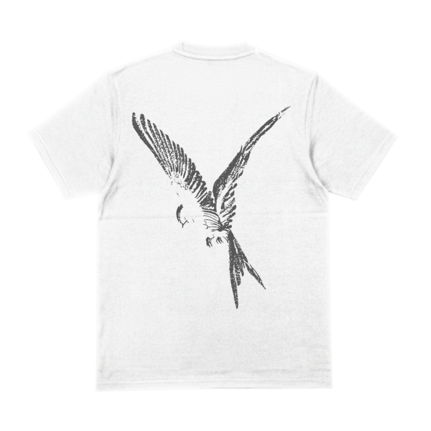 FLY T