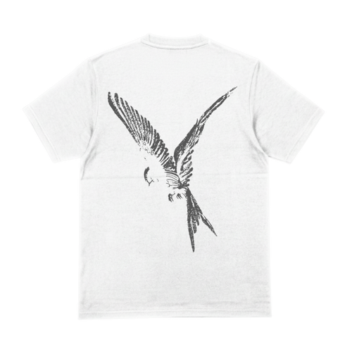FLY T