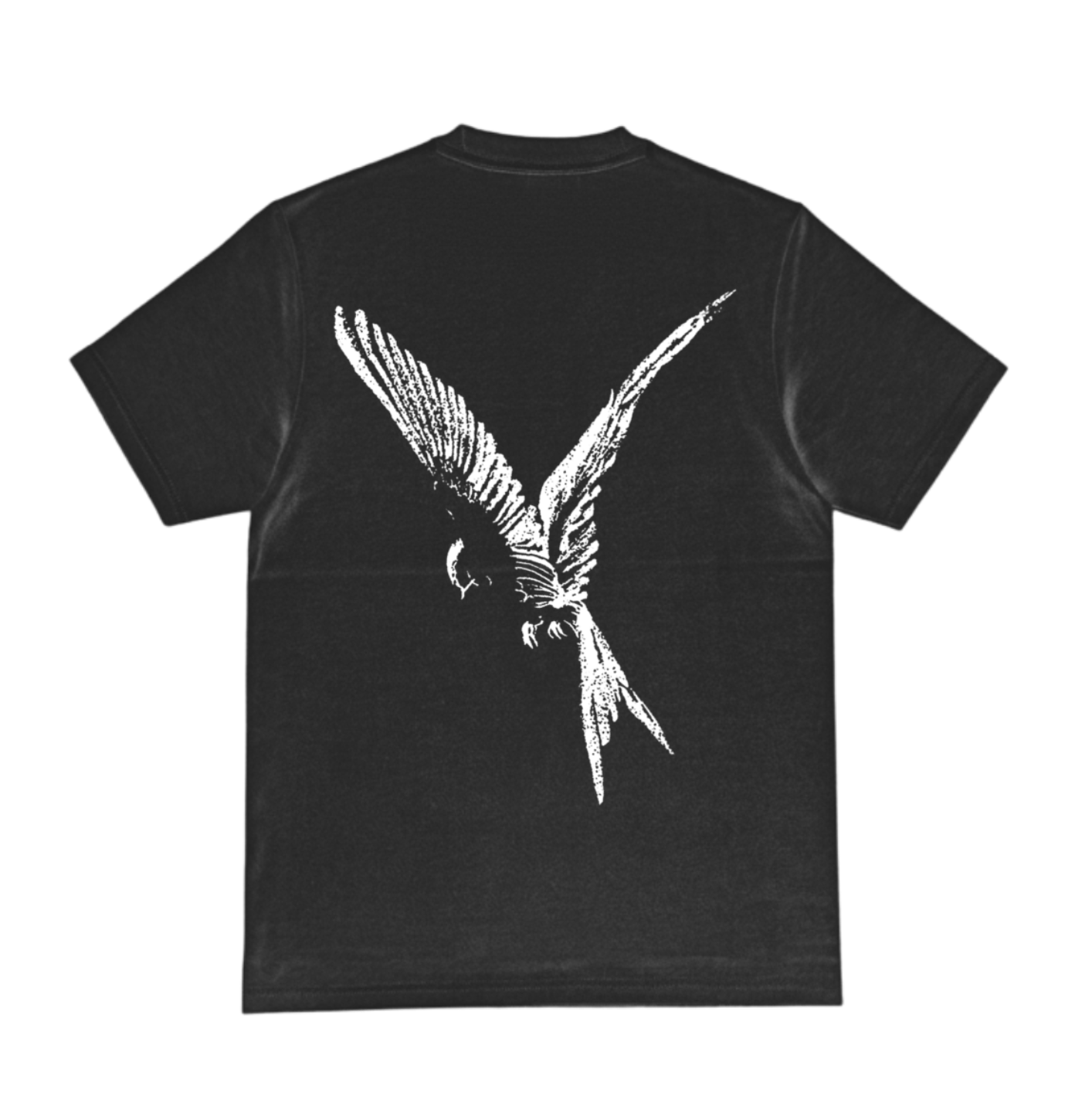 FLY T