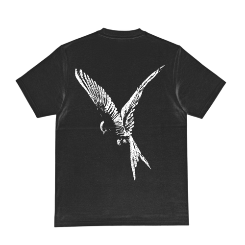 FLY T
